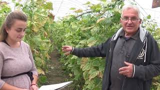 Izazovi povrtarstva u selu Djakus opštine Žitoradja